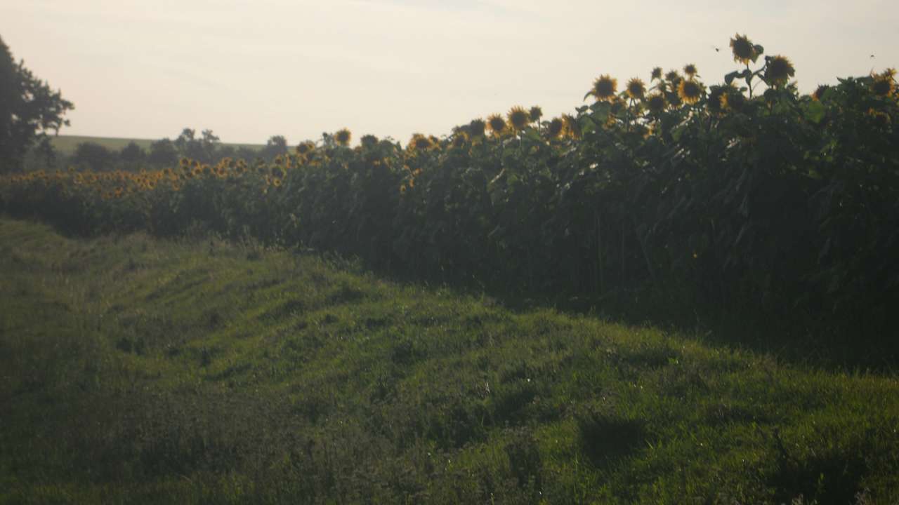 ***Природа*** - Бабчинці