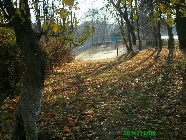 Село - Горынка
