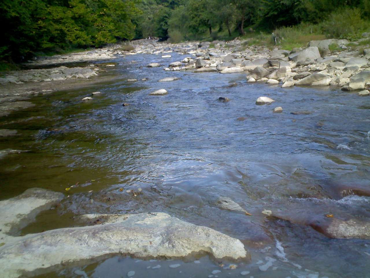 краєвиди - Підполоззя