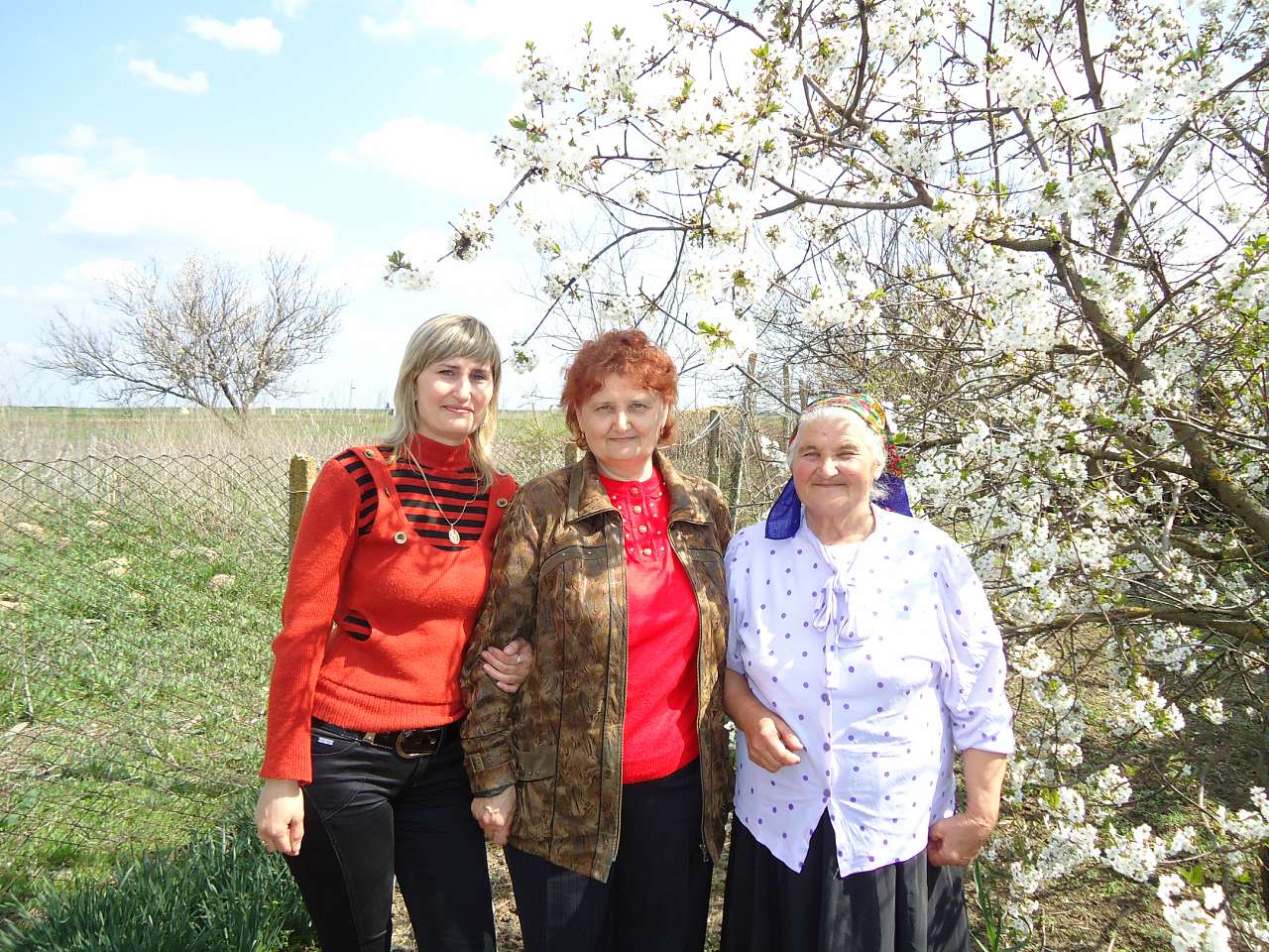 Мое родное село.... - Дружбівка