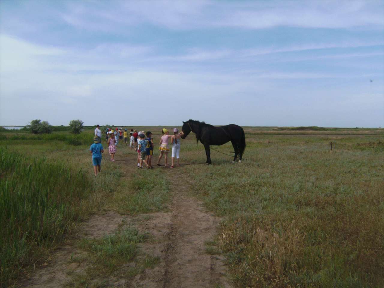 Шкільний табір. Літо 2011 рік - Збурьевка