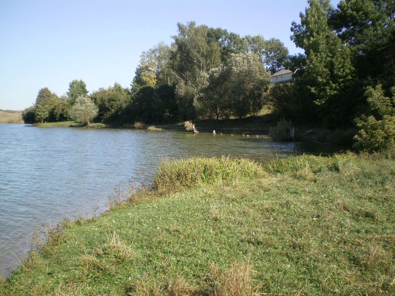 Мое село - Держаки