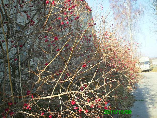 Село - Горынка