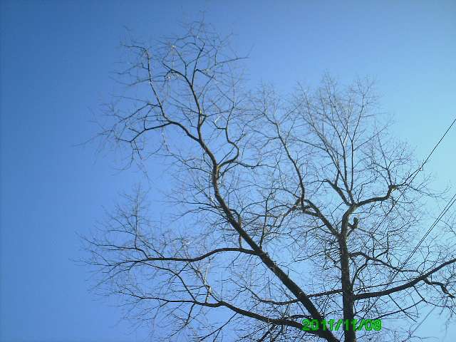 Село - Горинка