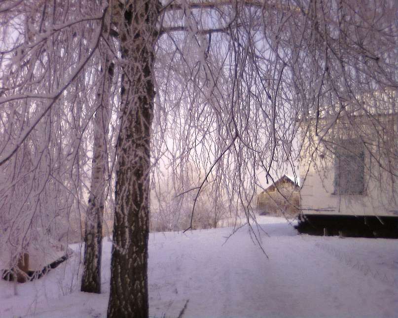 Нові - Санжариха