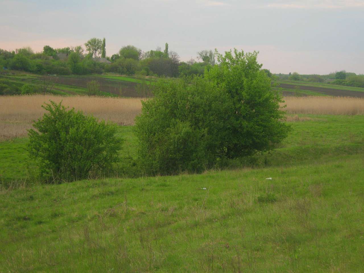 с інгуло камянка - Ингуло-Каменка