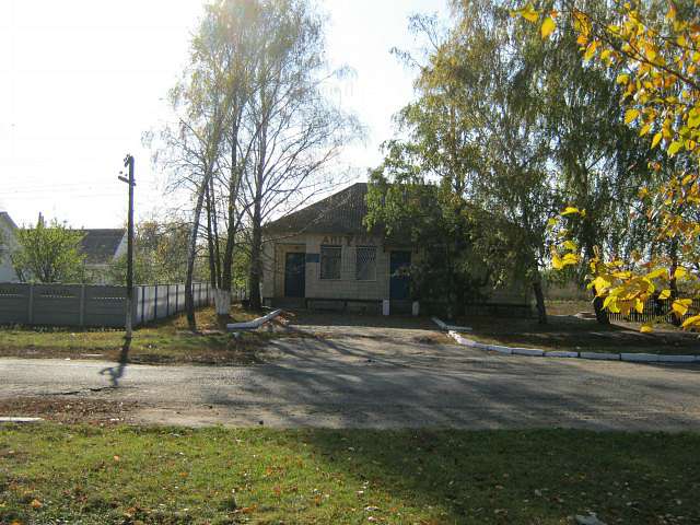 Осень 2011 - Ovsyuky