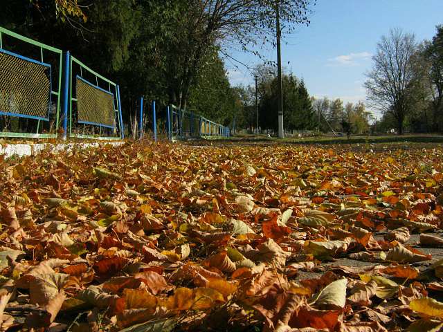 Осень 2011 - Овсюки