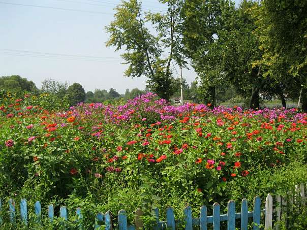Село Андрієвичі - Андреевичи