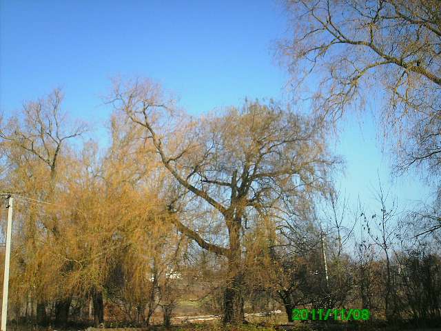 Село - Горынка