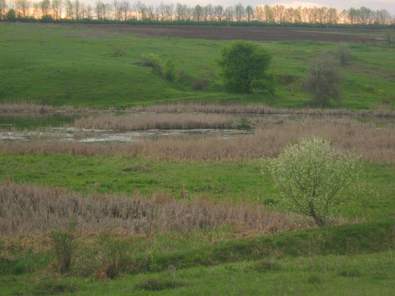 с інгуло камянка - Ингуло-Каменка