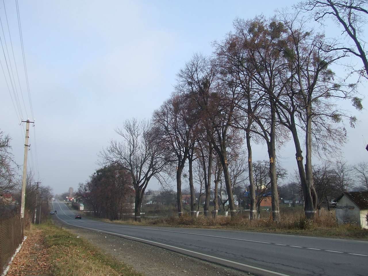 краєвид - Stankiv