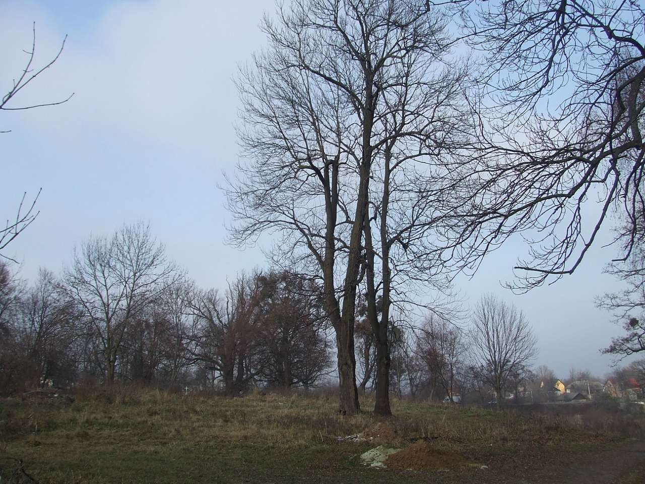 краєвид - Stankiv