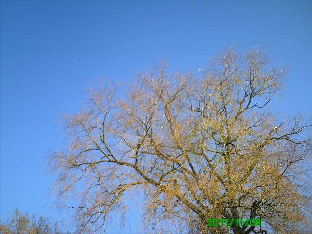 Село - Горынка