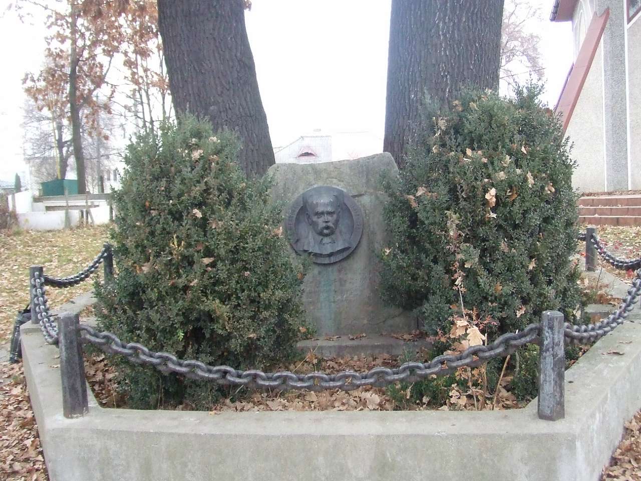 Дуб, посаджений на честь  Т.Г.Шевченка - Добряни