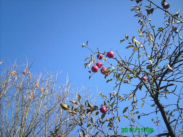 Село - Горынка