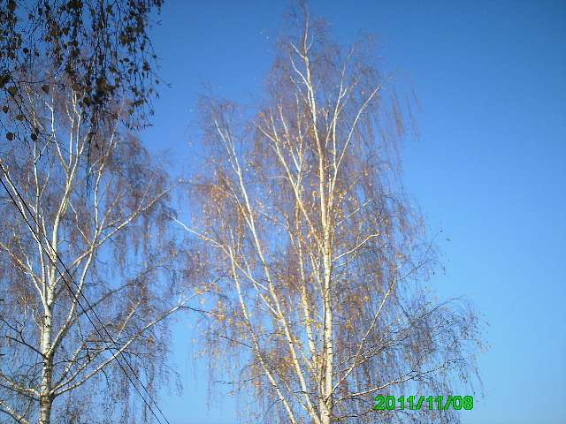 Село - Горинка