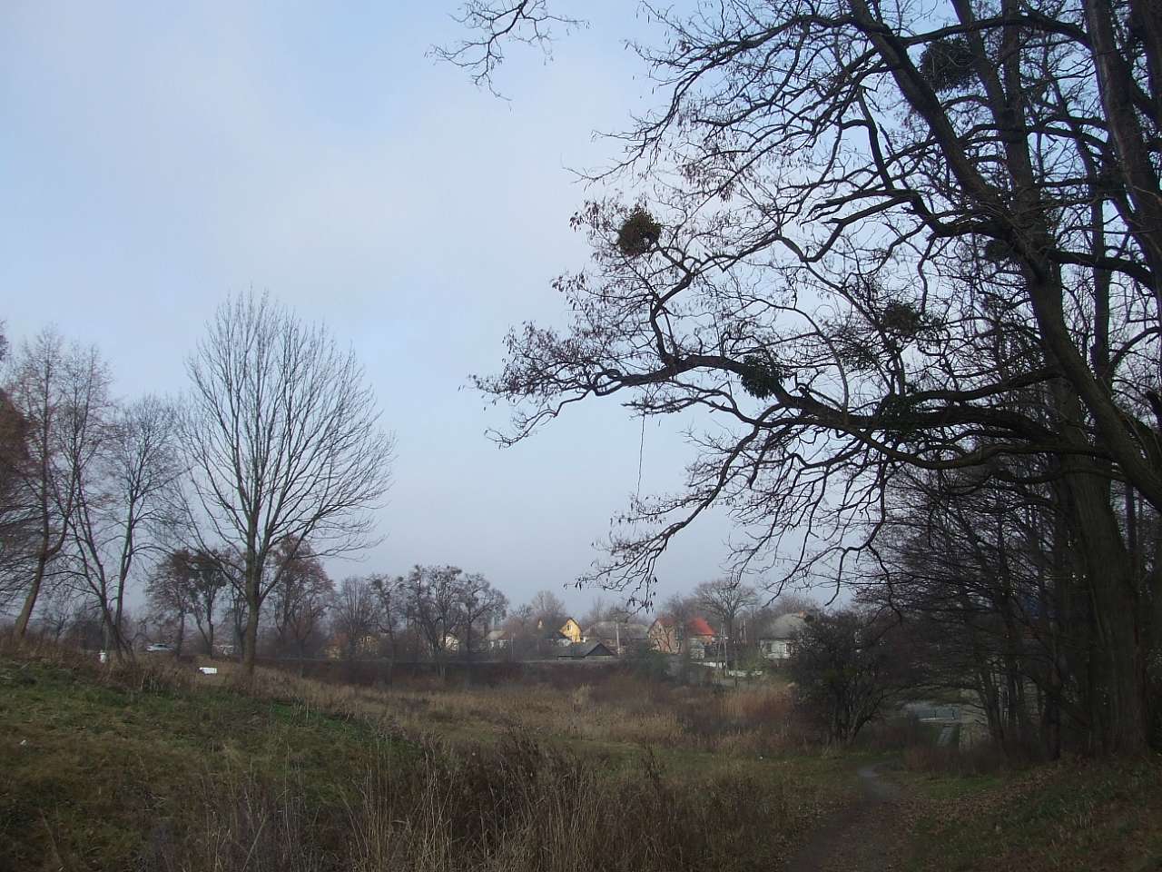 краєвид - Stankiv