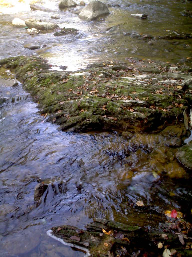 краєвиди - Підполоззя