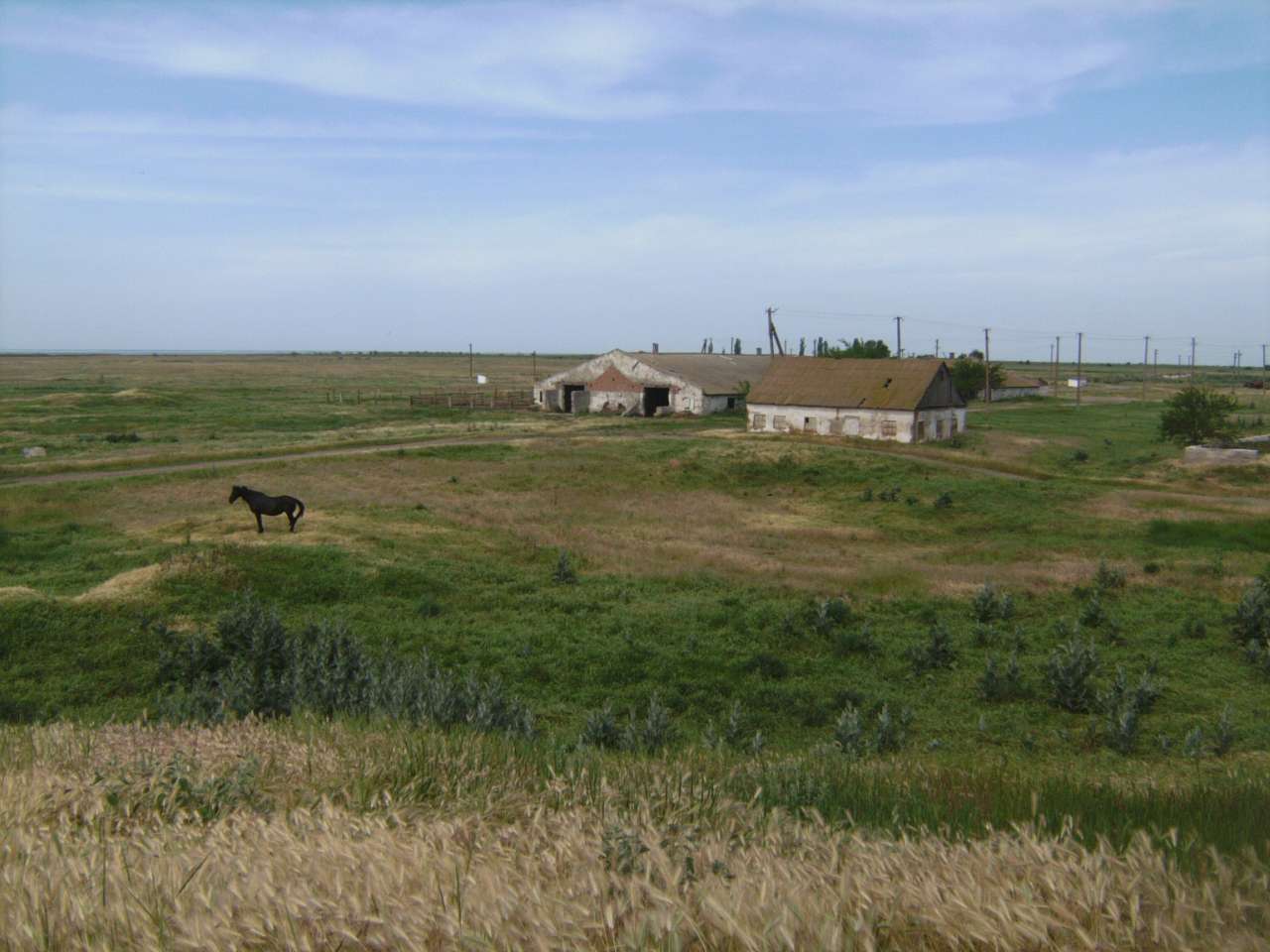 Шкільний табір. Літо 2011 рік - Збурьевка