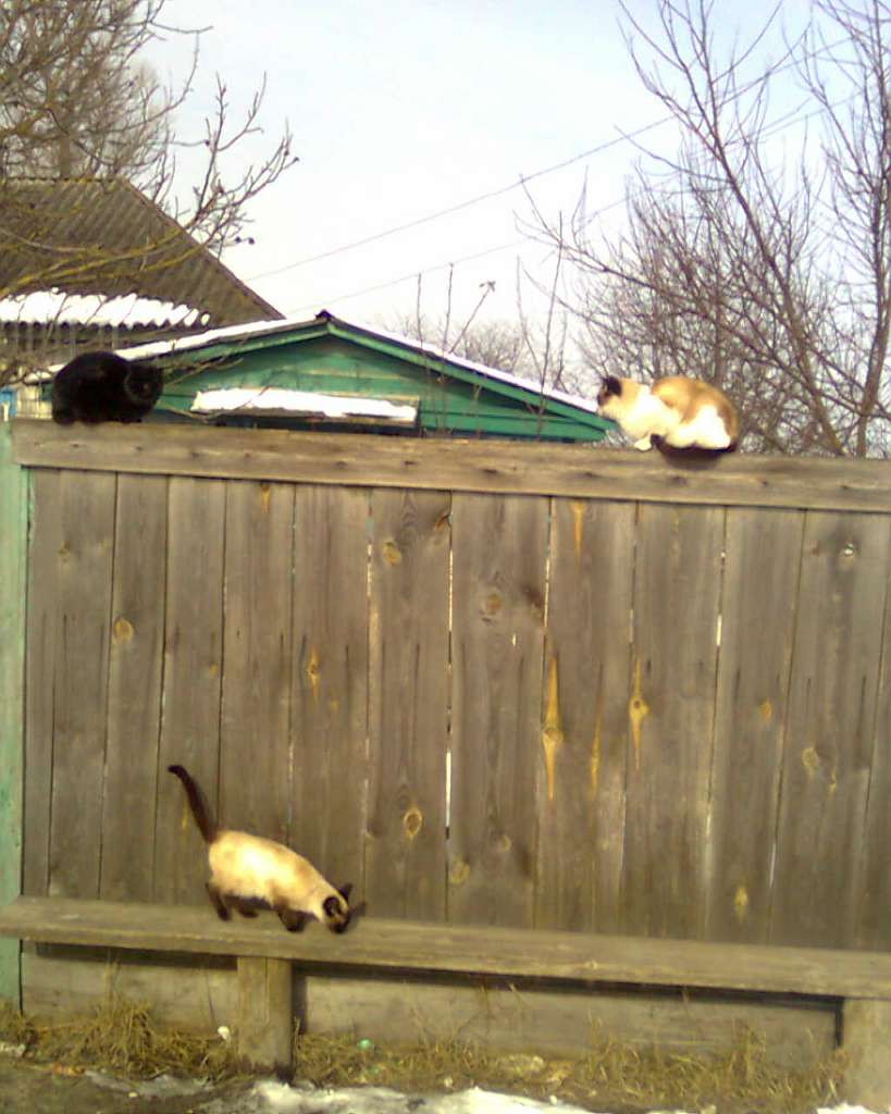 це все Лутава - Лутава