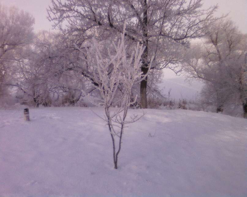 Нові - Санжариха