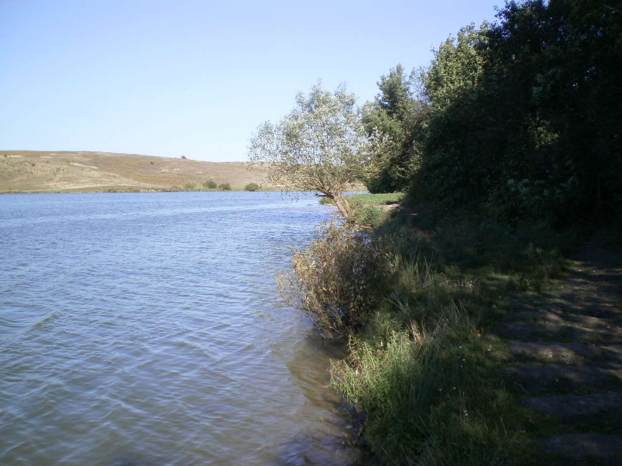 Мое село - Держаки