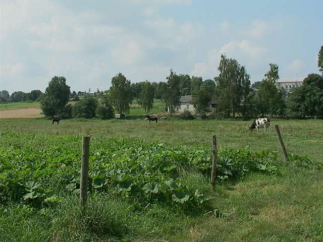 Шклинські краєвиди - Shklyn