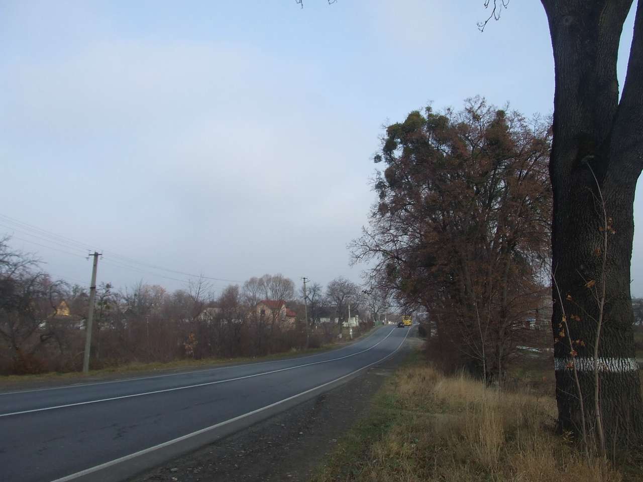 краєвид - Stankiv