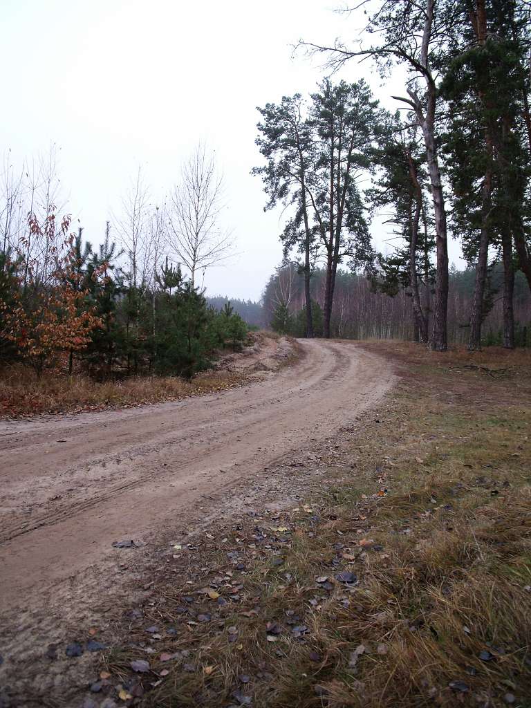 Листопад - Скригалівка