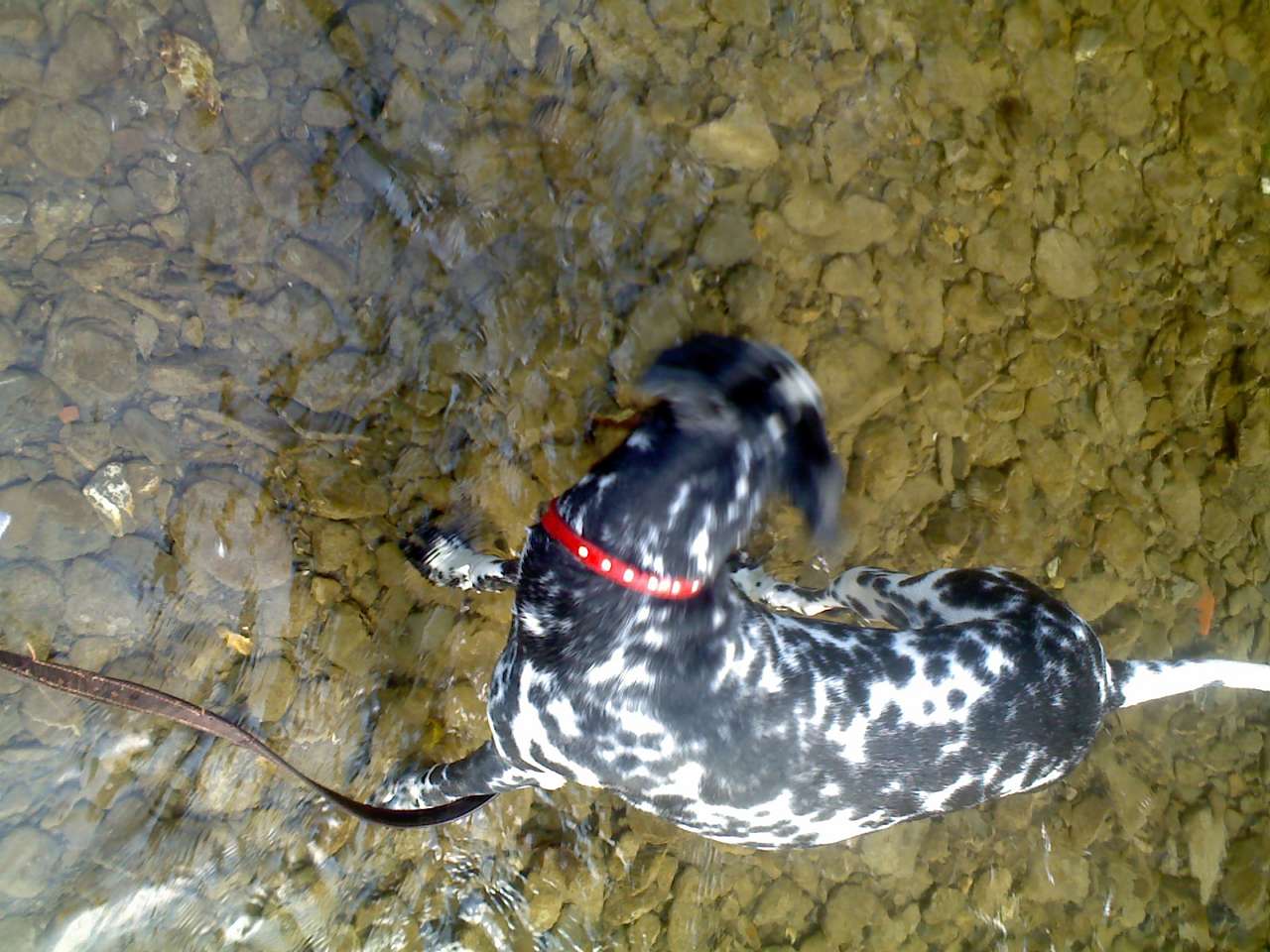 краєвиди - Подполозье