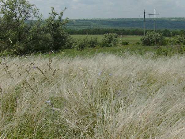 село - Гуляївка