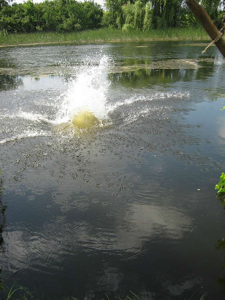 Санжариха - Санжариха