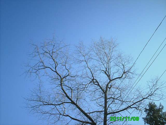 Село - Горынка