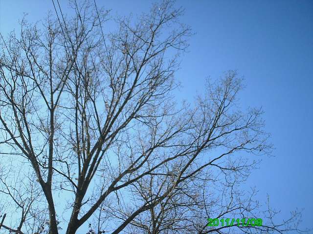 Село - Горынка