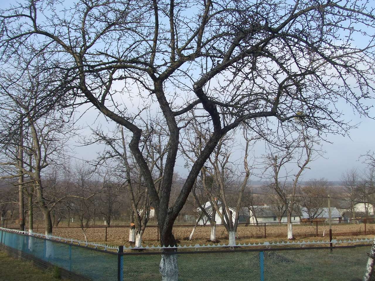 краєвид - Stankiv