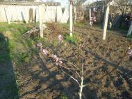 Красногвардейское-мой второй дом....