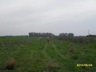 моє рідне село