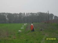 моє рідне село