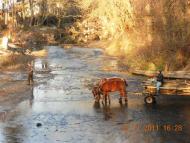 обов'язково