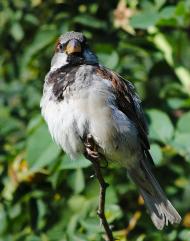 Природа края