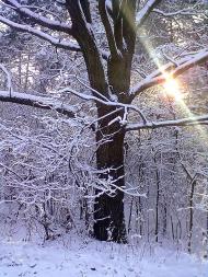 Миляч - Останні фото