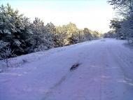 Зима 2011 - 2012.