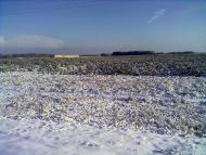 Зима 2011 - 2012.