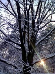 Зима 2011 - 2012.