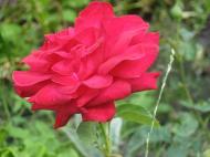 Краса рідного села