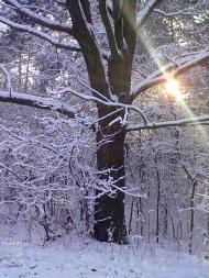 Зима 2011 - 2012.