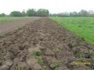 моє рідне село