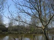 Краса рідного села