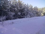 Зима 2011 - 2012.